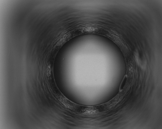 X0000052580555200507152321