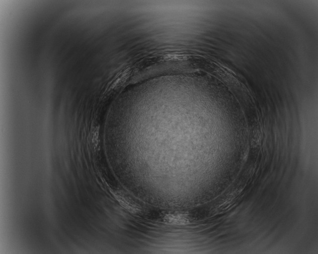 X0000052580560200507152321