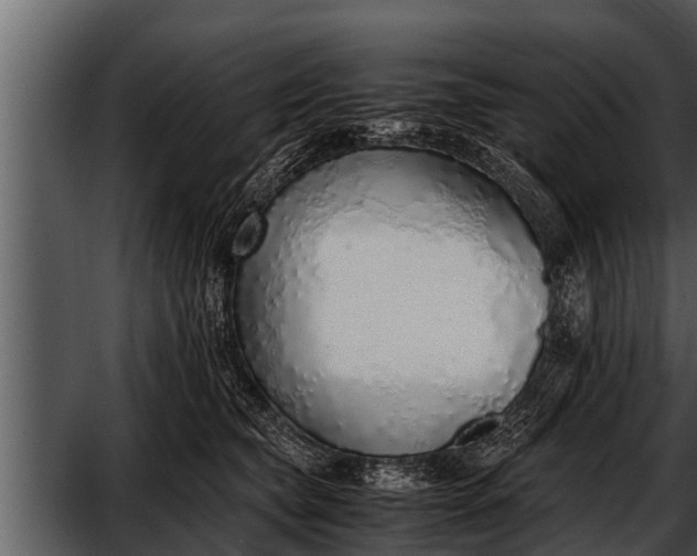 X0000052580565200507152321