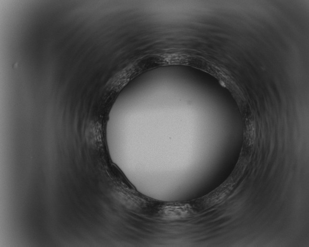 X0000052580571200507152321