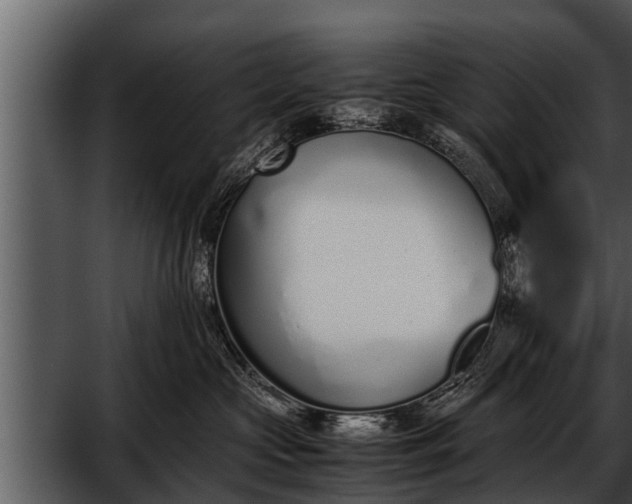 X0000052580573200507152321