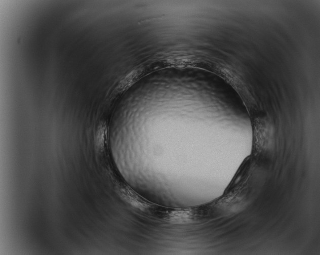 X0000052580574200507152321
