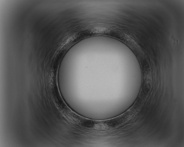 X0000052580591200507152320