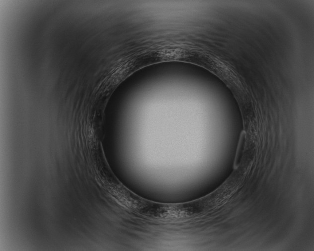 X0000052580601200507152320