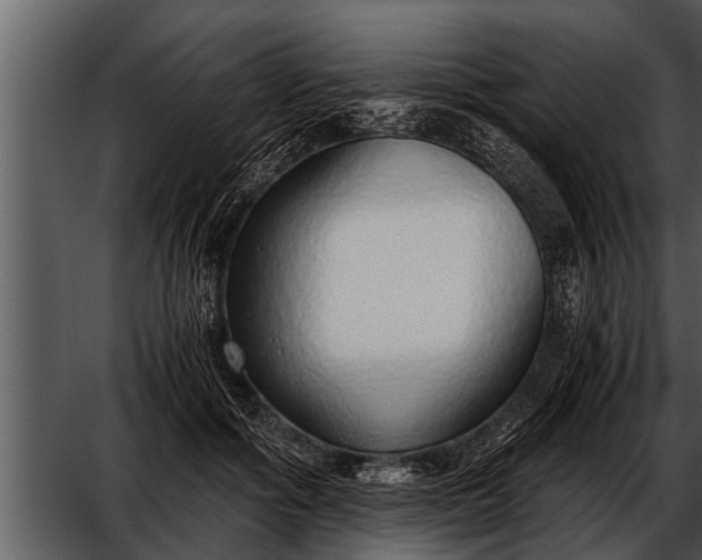 X0000052580602200507152320