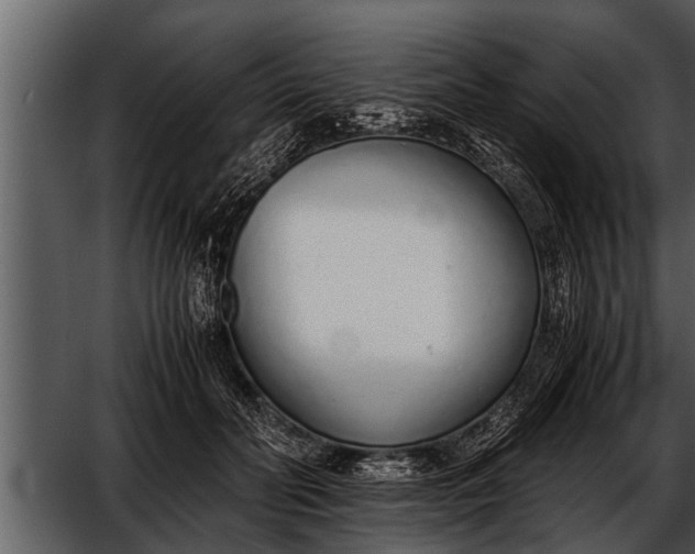 X0000052580606200507152320