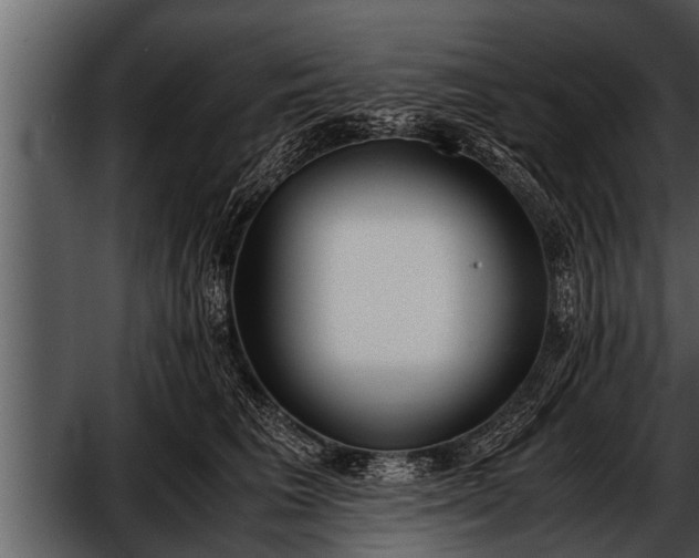X0000052580613200507152320