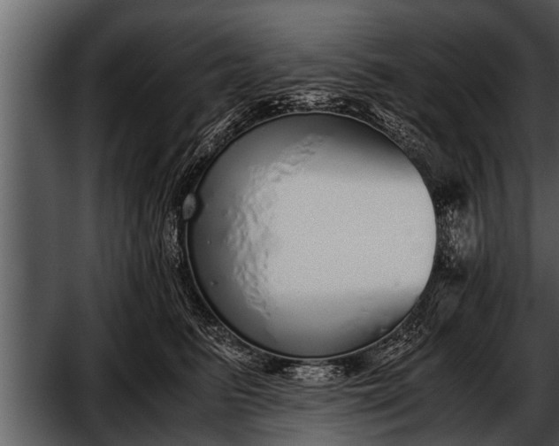 X0000052580615200507152320