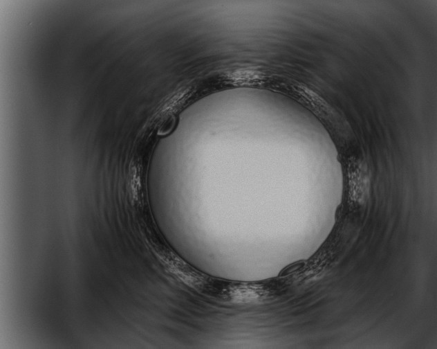 X0000052580618200507152320