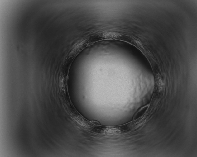 X0000052580619200507152320