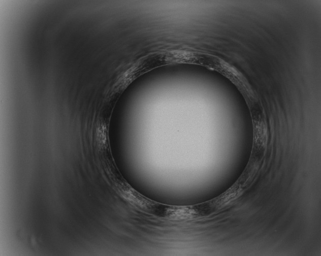 X0000052580621200507152320