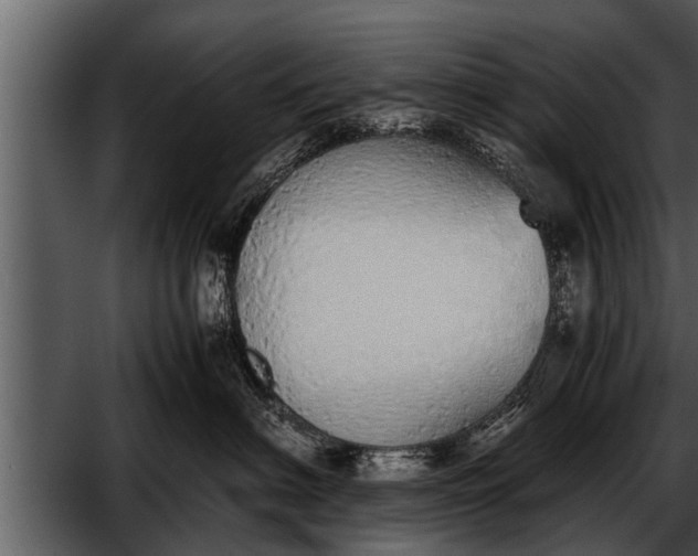 X0000052580622200507152320