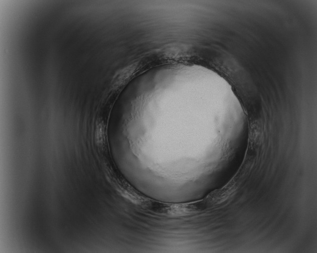 X0000052580623200507152320