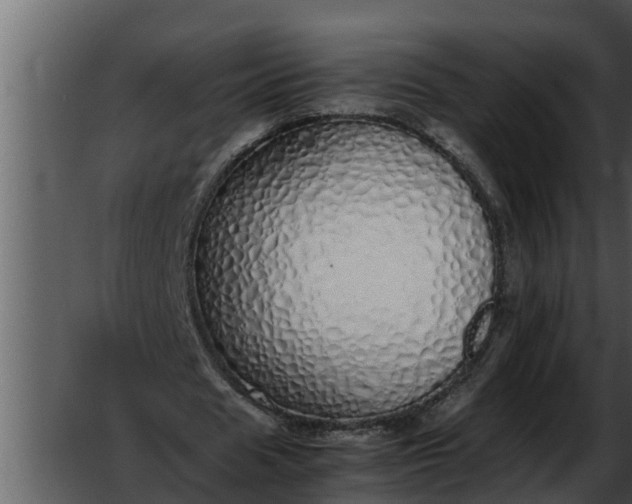X0000052580625200507152319