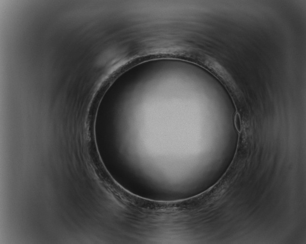 X0000052580628200507152319