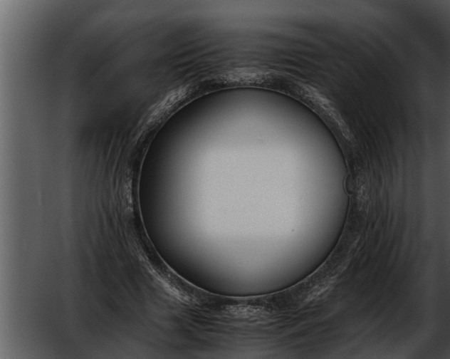 X0000052580633200507152319