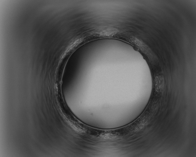 X0000052580634200507152319