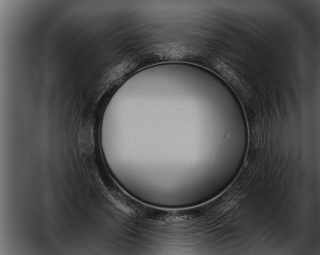 X0000052580638200507152319