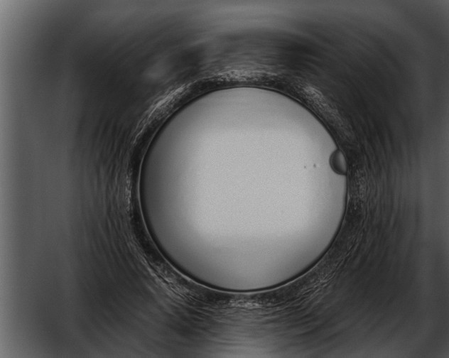 X0000052580640200507152319