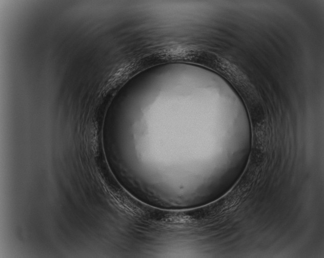 X0000052580642200507152319