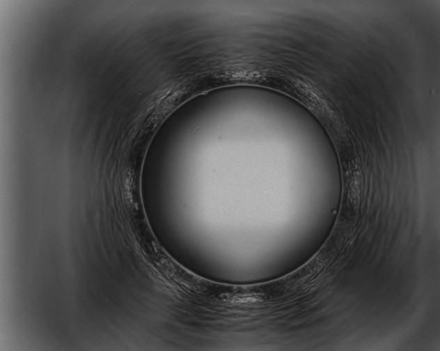 X0000052580643200507152319