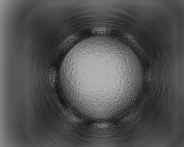 X0000052580645200507152319