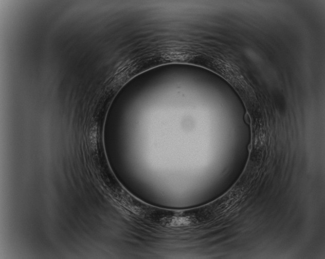 X0000052580647200507152319