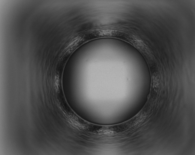 X0000052580648200507152319