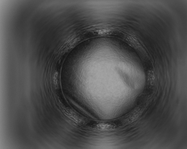 X0000052580650200507152319