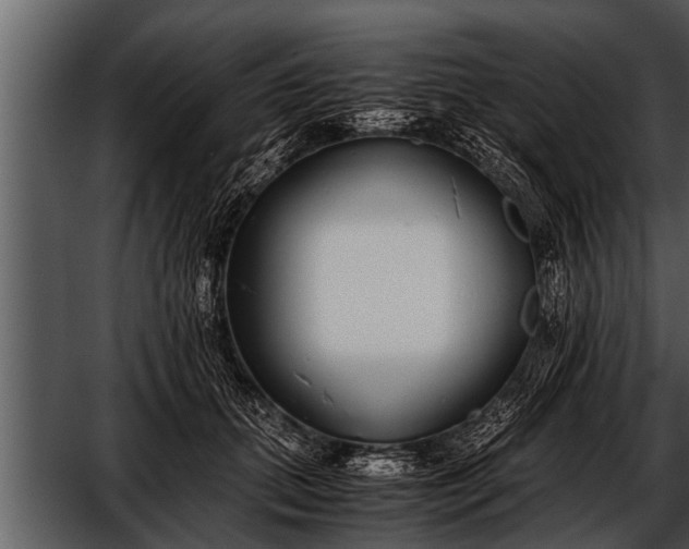 X0000052580655200507152320