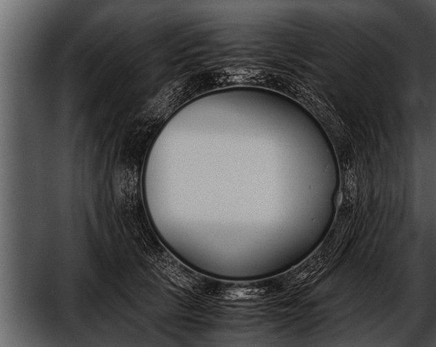 X0000052580657200507152320
