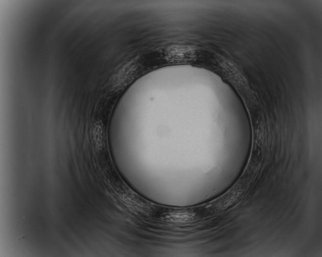 X0000052580659200507152320