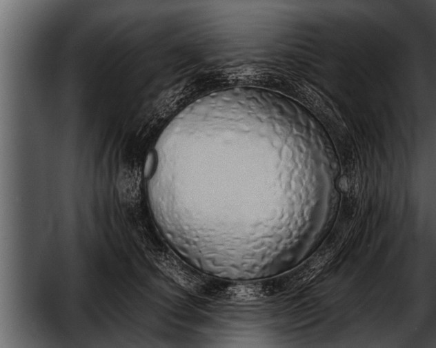 X0000052580660200507152320