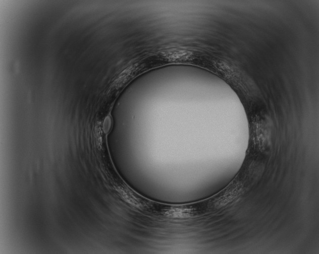 X0000052580664200507152320