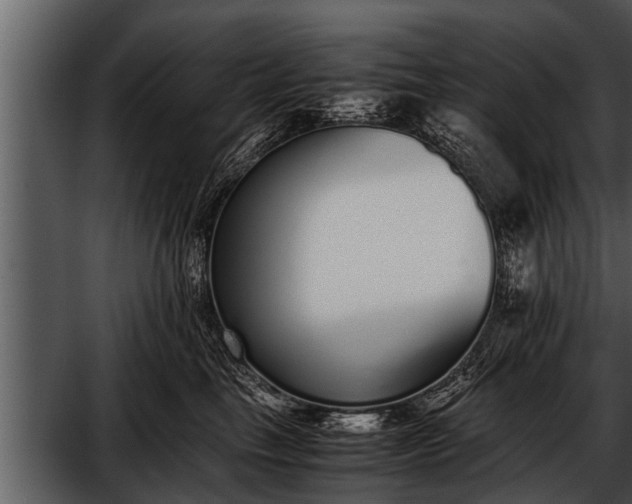 X0000052580665200507152320