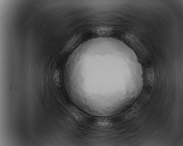 X0000052580667200507152320