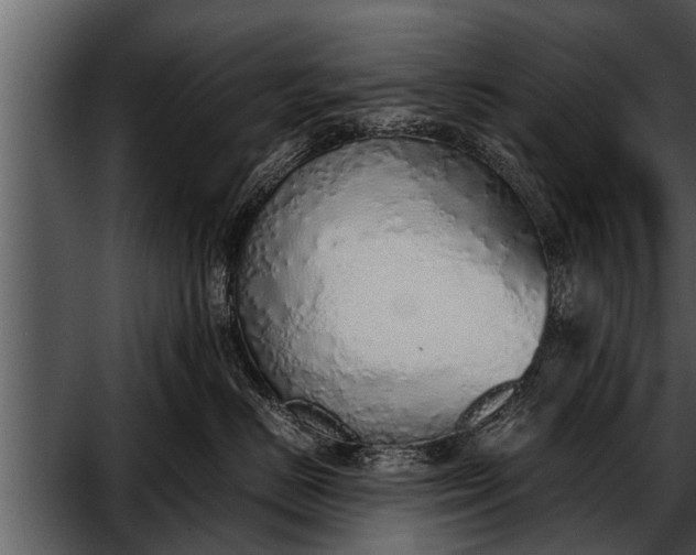 X0000052580670200507152320
