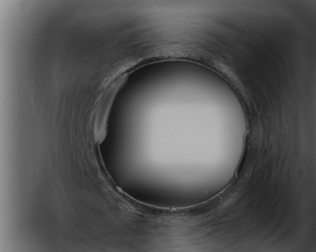 X0000052580673200507152319