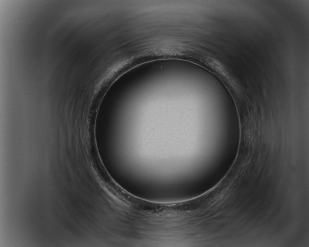 X0000052580677200507152319
