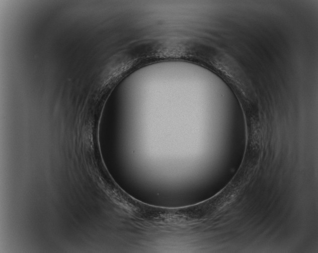 X0000052580681200507152319