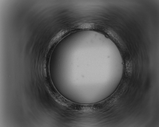 X0000052580682200507152319