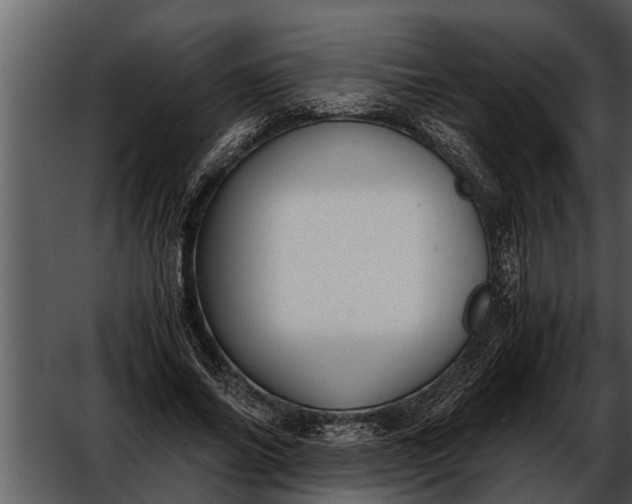 X0000052580686200507152319