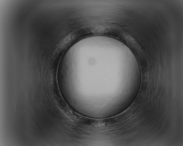 X0000052580687200507152319
