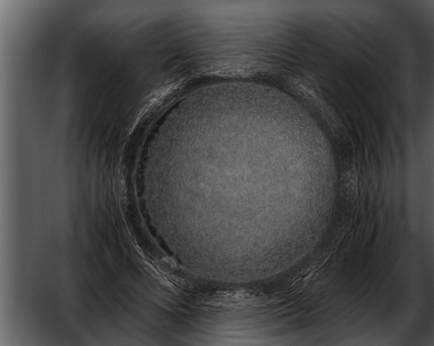 X0000052580688200507152319