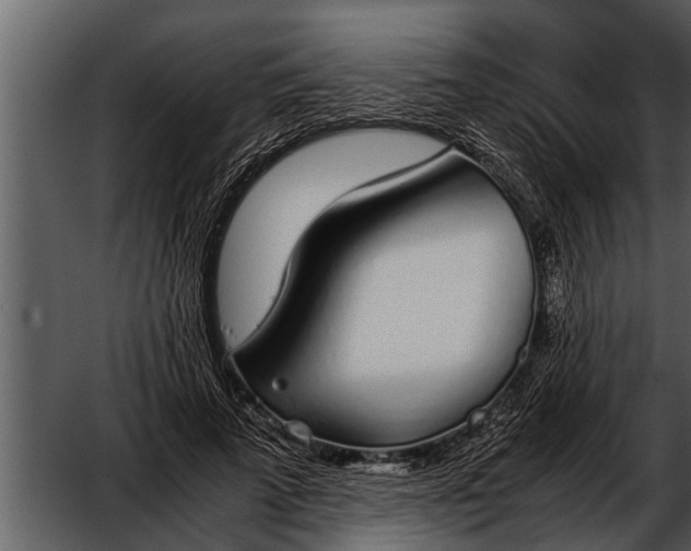 X0000052580689200507152319