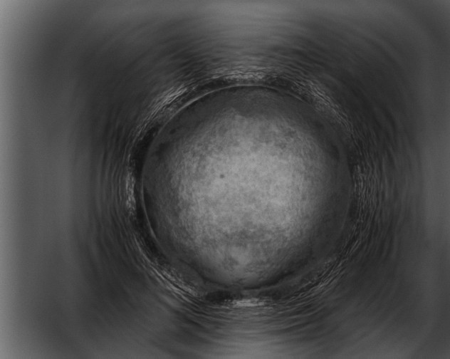 X0000052580692200507152319