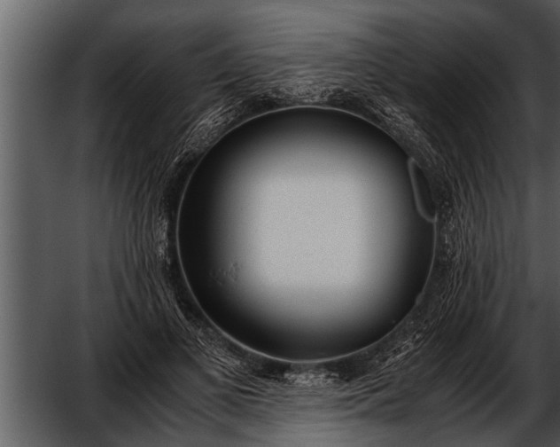 X0000052580693200507152319