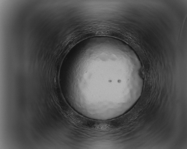 X0000052580695200507152319