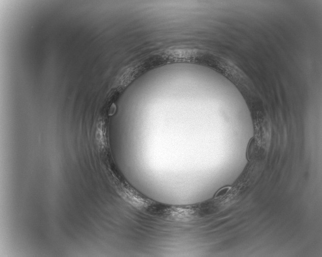 X0000052580718200507152318