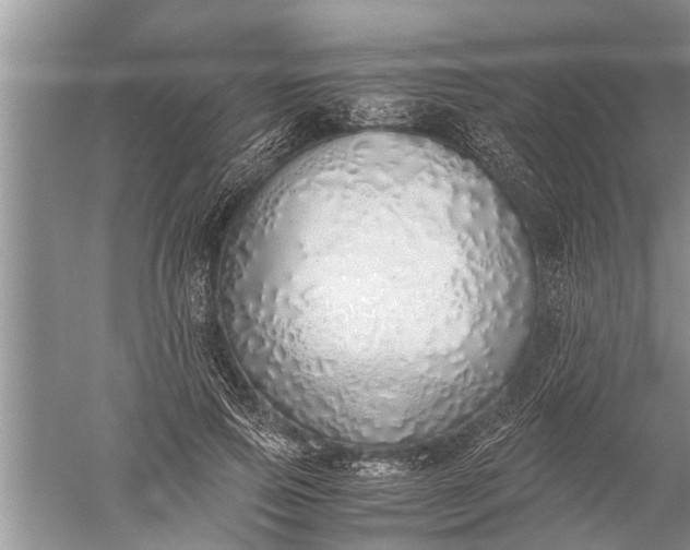 X0000052580741200507152318